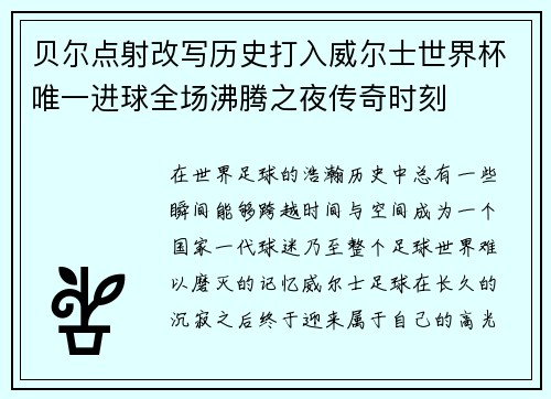 贝尔点射改写历史打入威尔士世界杯唯一进球全场沸腾之夜传奇时刻 贝尔点射改写历史打入威尔士世界杯唯一进球全场沸腾之夜传奇时刻